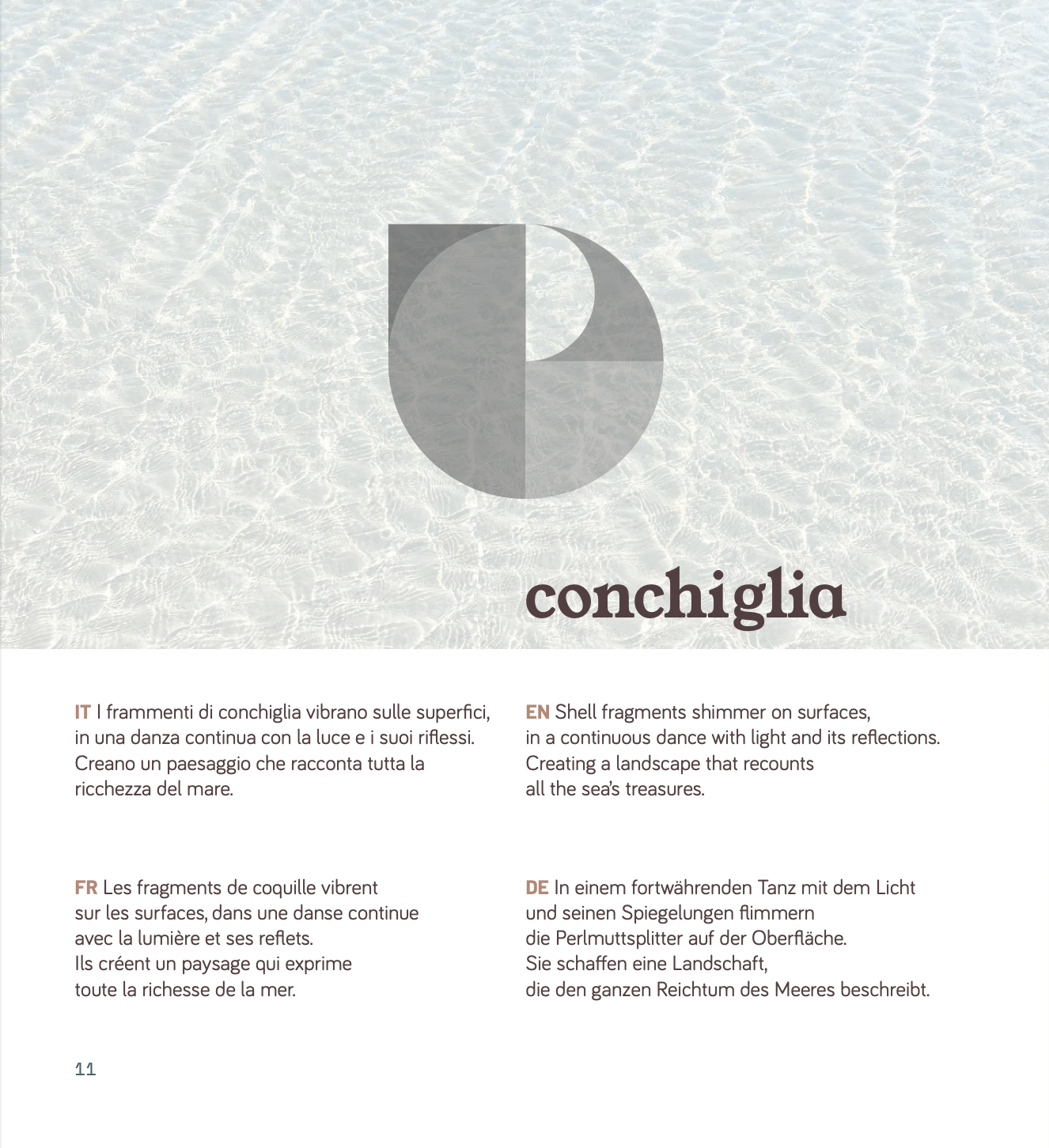 Materia Viva Conchiglia