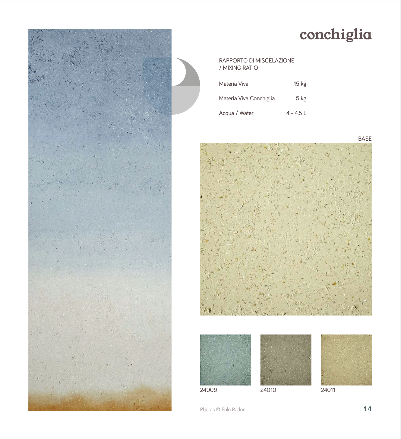 Materia Viva Conchiglia