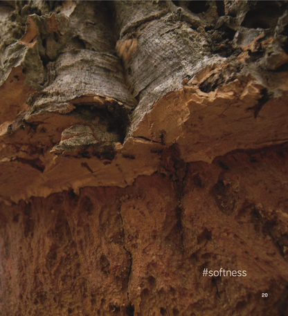 Materia Viva Sughero