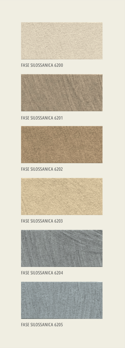 Fase Silossanica